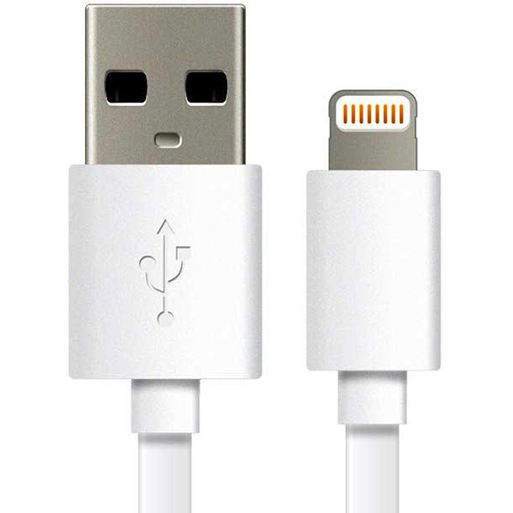 I Phone Lightning to USB Cable.